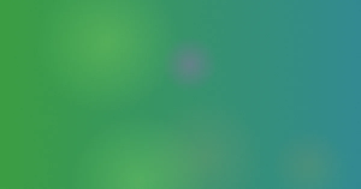 金泰勇推荐：新手观影顺序